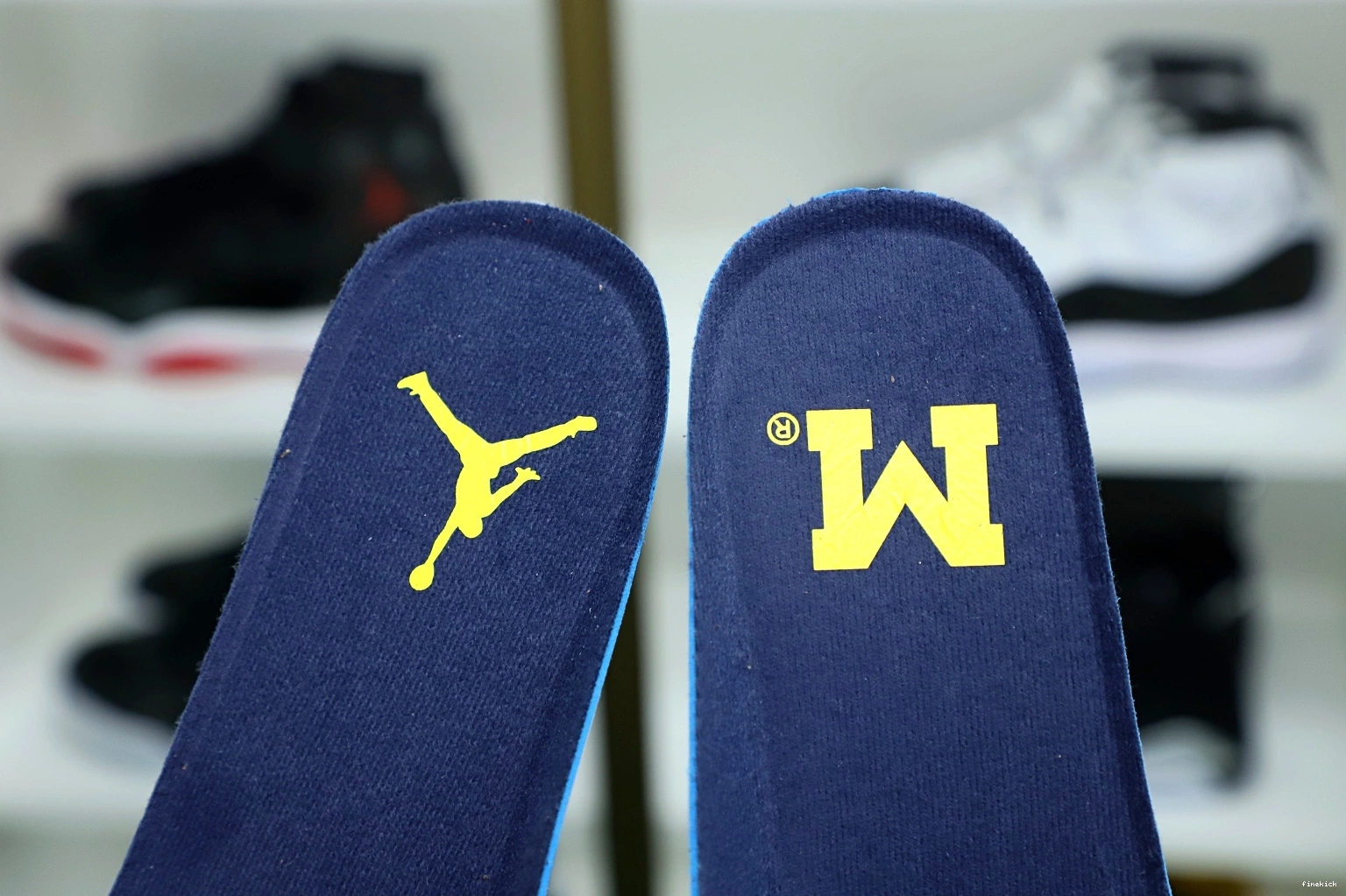 Jordan Air 4 Jordan 1221